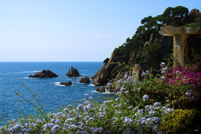 Jardi Botanic Blanes