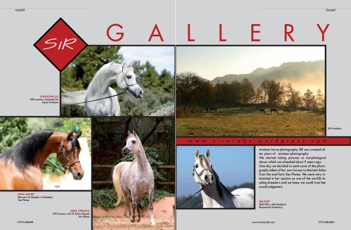 rdz-SiR gallery_Página_1