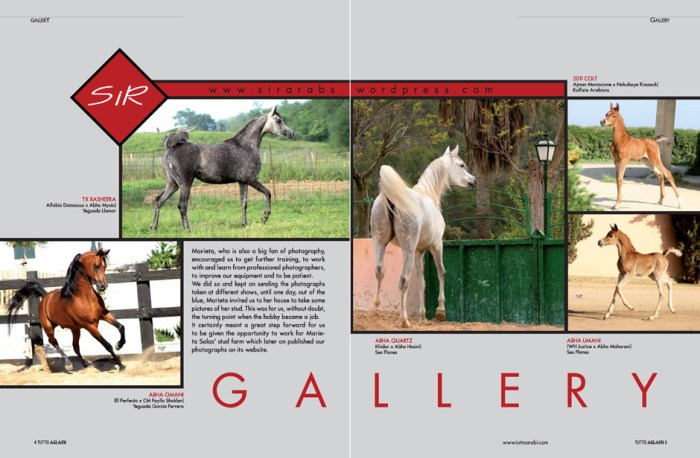 rdz-SiR gallery_Página_2