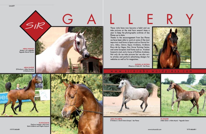 rdz-SiR gallery_Página_3