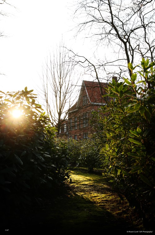 Jadem Arabians 2014 March 01