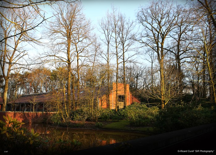 Jadem Arabians 2014 March 02