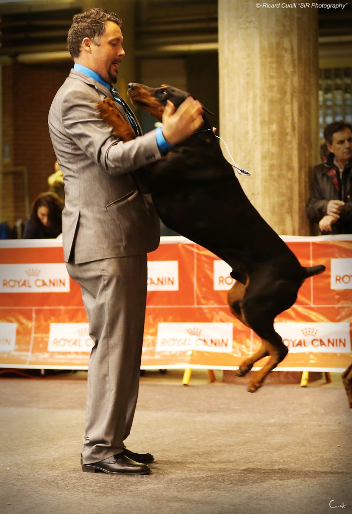 Girona Caninacatalana 2015 02