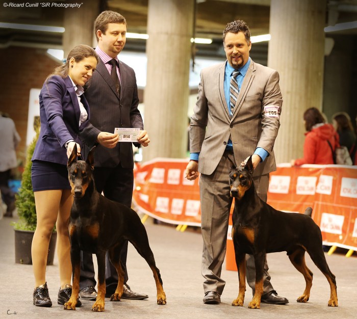 Girona Caninacatalana 2015 03