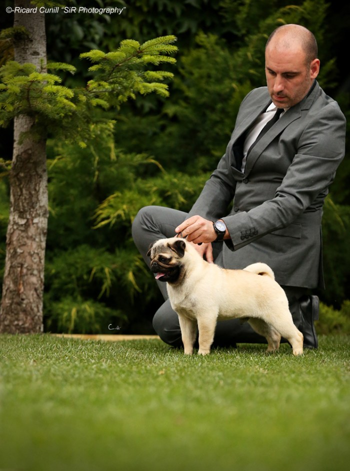 Anadyrblues Hector 2