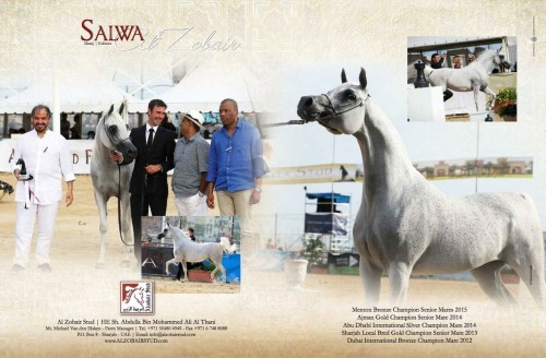 2015 12 18 Salwa Al Zobair