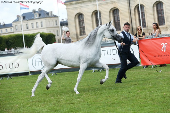 1st 50 Psyche Victoria SIR_3283 copia