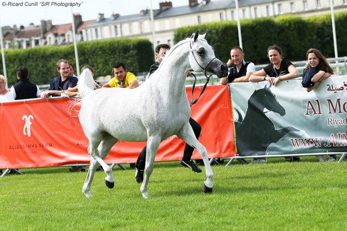 1st 50 Tehama Ballalina SIR_2369 copia