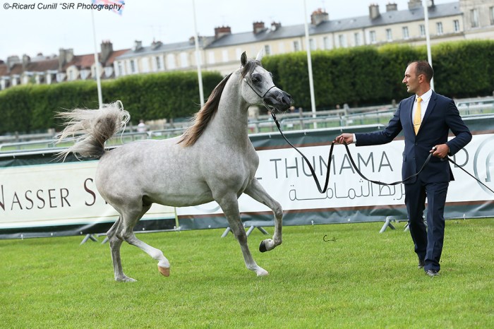 1st 58 Jaal Aljassimya SIR_3474 copia