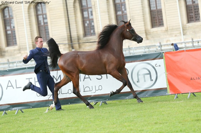 1st 60 Luigi SIR_7686 copia