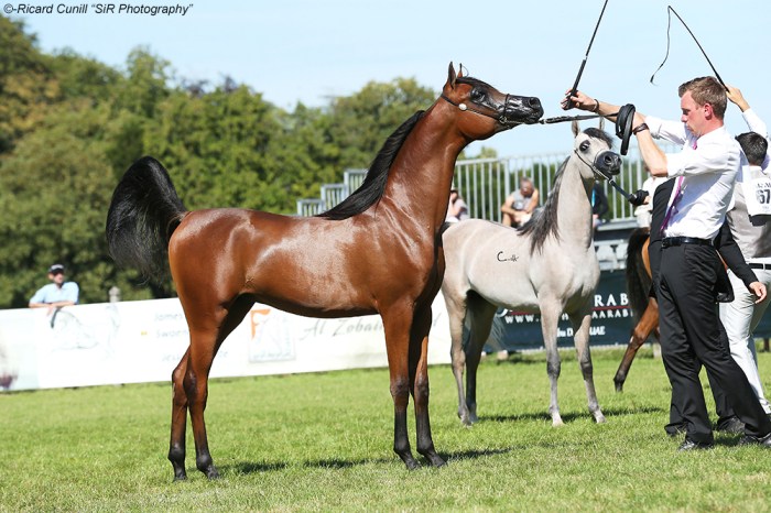 1st 63 Al Picasso SIR_9578 copia