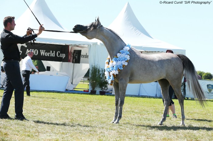 2nd 26 Marrakech J SIR_8716 copia