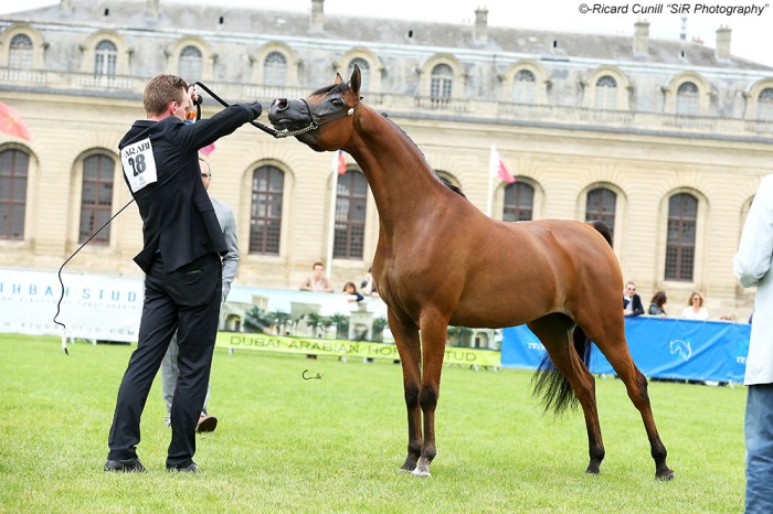 3th 28 Jayda Al Rabi SIR_0822 copia