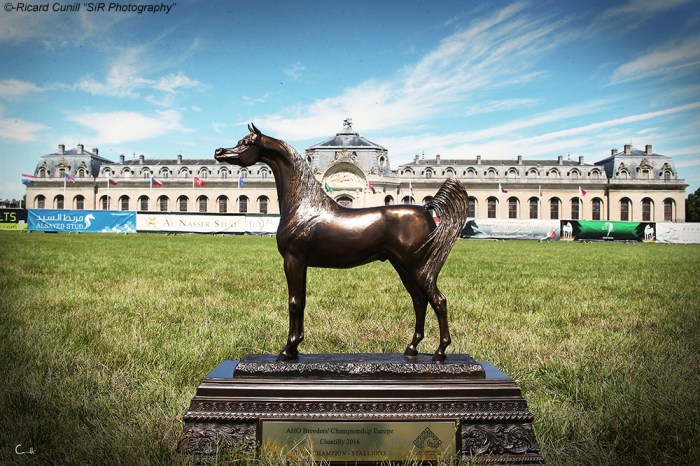 Chantilly 2016_ Trophy European Breeders Championship