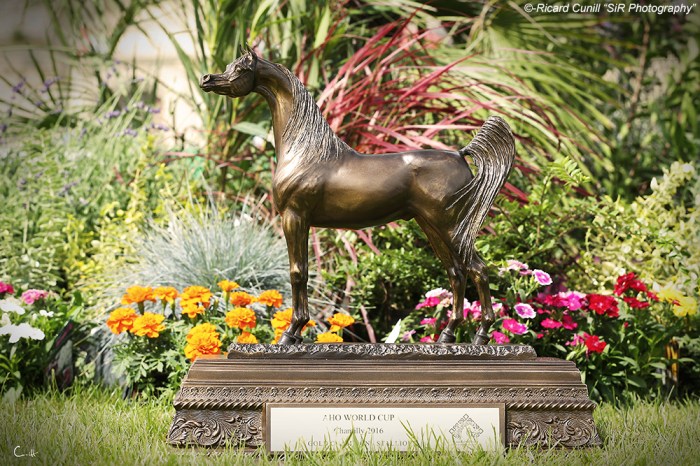 Trophy AHO World Cup Chantilly 2016