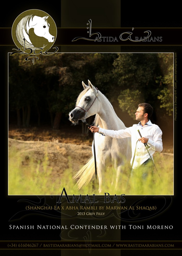 anuncio-bastida-arabians-nacional-2016_amal-bas-web