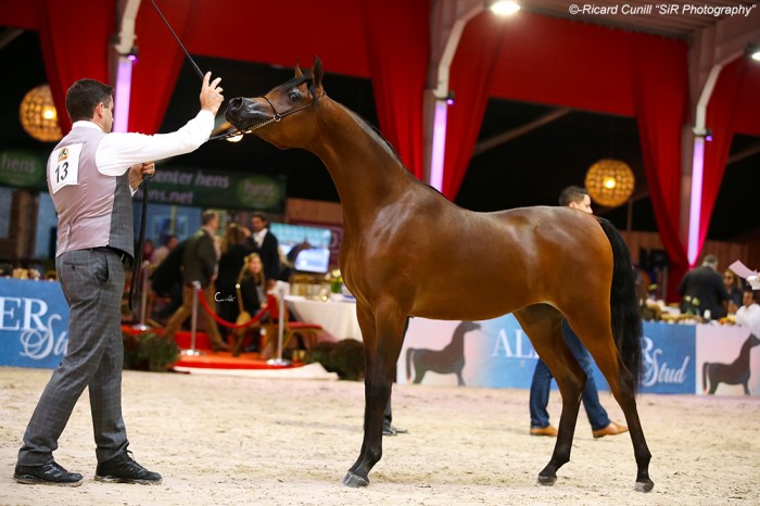 13-hdm-maria-apal-aa0z2685-copia